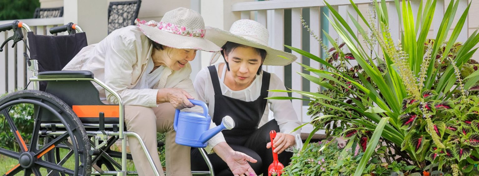 Gardening Tips for Wheelchair Users National Ramp Blog